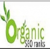 Organic SEO Ranks